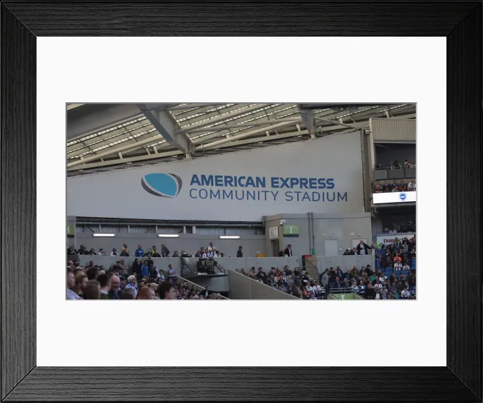 Framed Print : Brighton and Hove Albion vs. Southampton: Premier League Showdown at American Express Community Stadium (30MAR19) Framed Print : Brighton and Hove Albion vs. Southampton: Premier League Showdown at American Express Community Stadium (30MAR19)