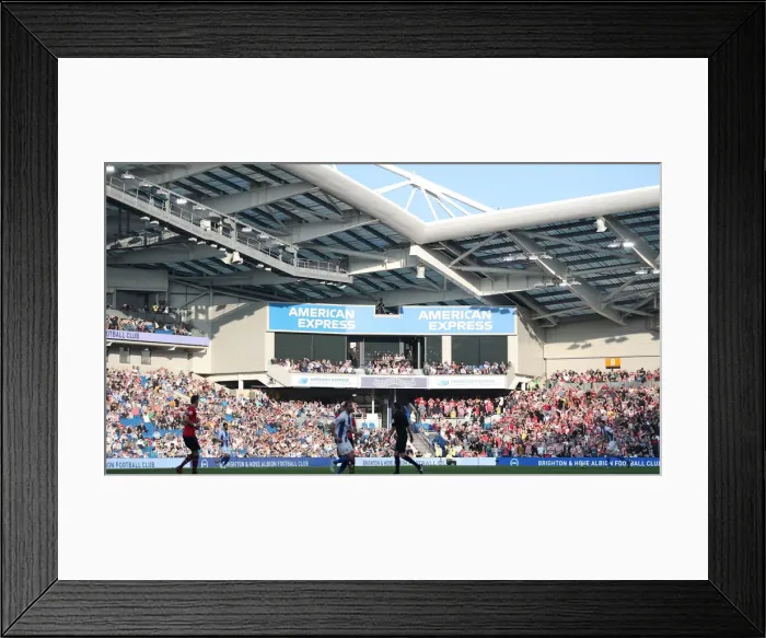 Framed Print : Brighton and Hove Albion vs. Southampton: Premier League Showdown at American Express Community Stadium (30MAR19) Framed Print : Brighton and Hove Albion vs. Southampton: Premier League Showdown at American Express Community Stadium (30MAR19)