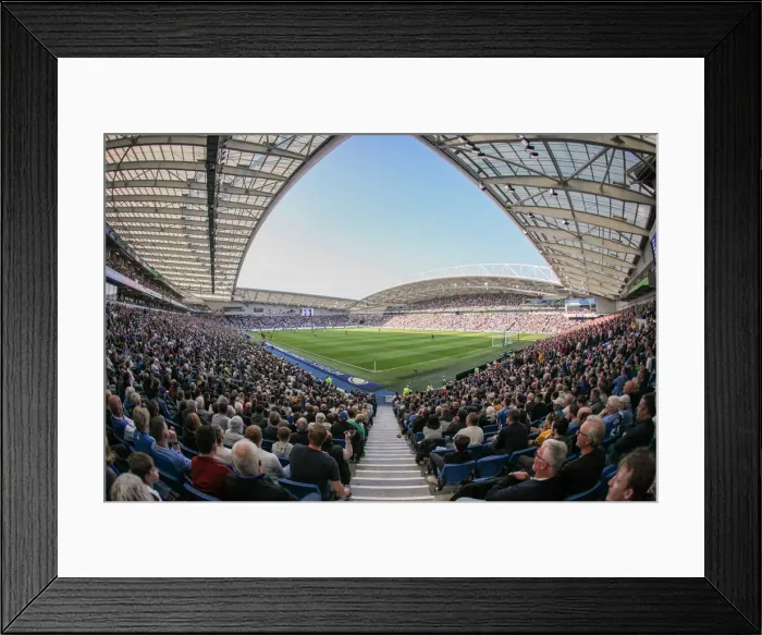 Framed Print : Brighton and Hove Albion vs. Southampton: Premier League Showdown at American Express Community Stadium (30MAR19) Framed Print : Brighton and Hove Albion vs. Southampton: Premier League Showdown at American Express Community Stadium (30MAR19)