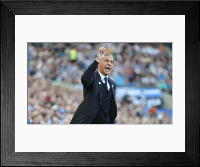 Framed Print : Brighton and Hove Albion vs. Southampton: Premier League Showdown at American Express Community Stadium (30MAR19) Framed Print : Brighton and Hove Albion vs. Southampton: Premier League Showdown at American Express Community Stadium (30MAR19)