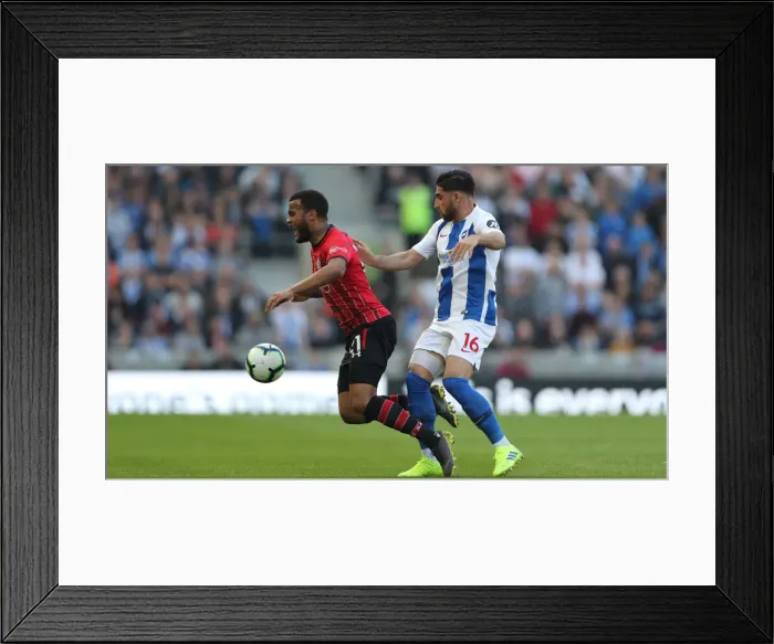 Framed Print : Brighton and Hove Albion vs. Southampton: Premier League Showdown at American Express Community Stadium (30MAR19) Framed Print : Brighton and Hove Albion vs. Southampton: Premier League Showdown at American Express Community Stadium (30MAR19)