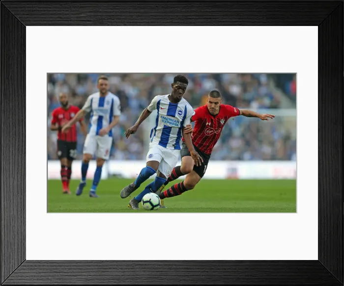 Framed Print : Brighton and Hove Albion vs. Southampton: Premier League Showdown at American Express Community Stadium (30MAR19) Framed Print : Brighton and Hove Albion vs. Southampton: Premier League Showdown at American Express Community Stadium (30MAR19)
