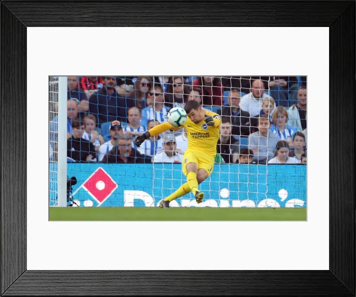 Framed Print : Brighton and Hove Albion vs. Southampton: Premier League Showdown at American Express Community Stadium (30MAR19) Framed Print : Brighton and Hove Albion vs. Southampton: Premier League Showdown at American Express Community Stadium (30MAR19)