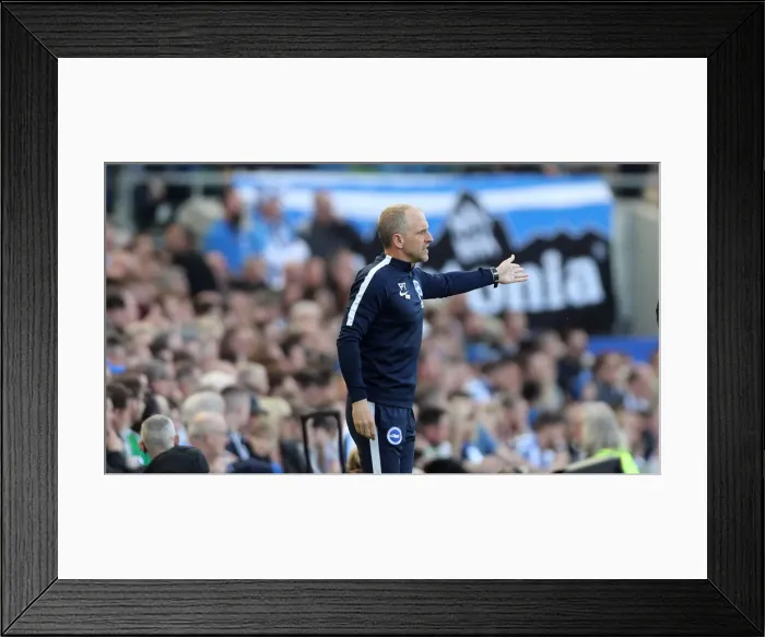 Framed Print : March Showdown: Brighton & Hove Albion vs. Southampton in the Premier League (30MAR19) Framed Print : March Showdown: Brighton & Hove Albion vs. Southampton in the Premier League (30MAR19)