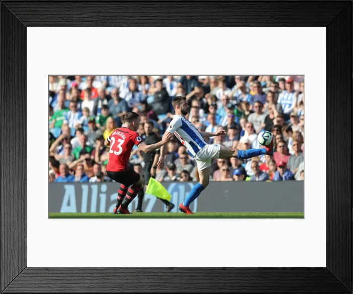 Framed Print : Brighton and Hove Albion vs. Southampton: Premier League Showdown at American Express Community Stadium (30MAR19) Framed Print : Brighton and Hove Albion vs. Southampton: Premier League Showdown at American Express Community Stadium (30MAR19)