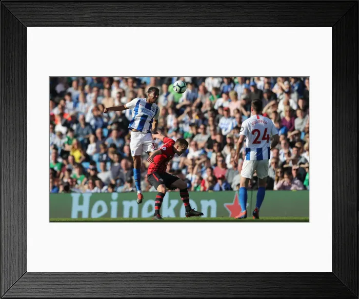Framed Print : Brighton and Hove Albion vs. Southampton: Premier League Showdown at American Express Community Stadium (30MAR19) Framed Print : Brighton and Hove Albion vs. Southampton: Premier League Showdown at American Express Community Stadium (30MAR19)