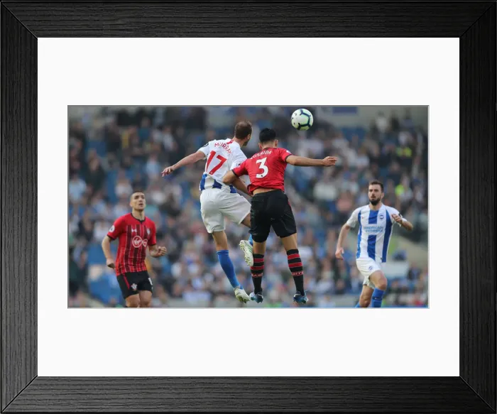 Framed Print : Brighton and Hove Albion vs. Southampton: Premier League Showdown at American Express Community Stadium (30MAR19) Framed Print : Brighton and Hove Albion vs. Southampton: Premier League Showdown at American Express Community Stadium (30MAR19)