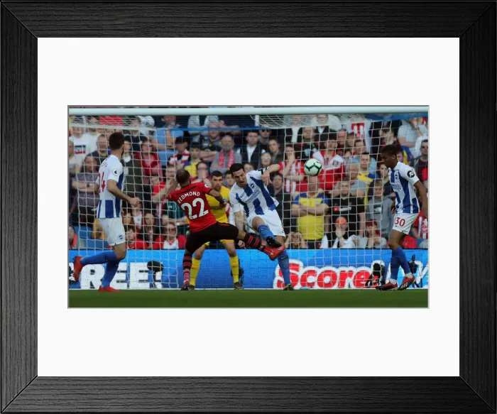 Framed Print : Brighton and Hove Albion vs. Southampton: Premier League Battle at American Express Community Stadium (30MAR19) Framed Print : Brighton and Hove Albion vs. Southampton: Premier League Battle at American Express Community Stadium (30MAR19)