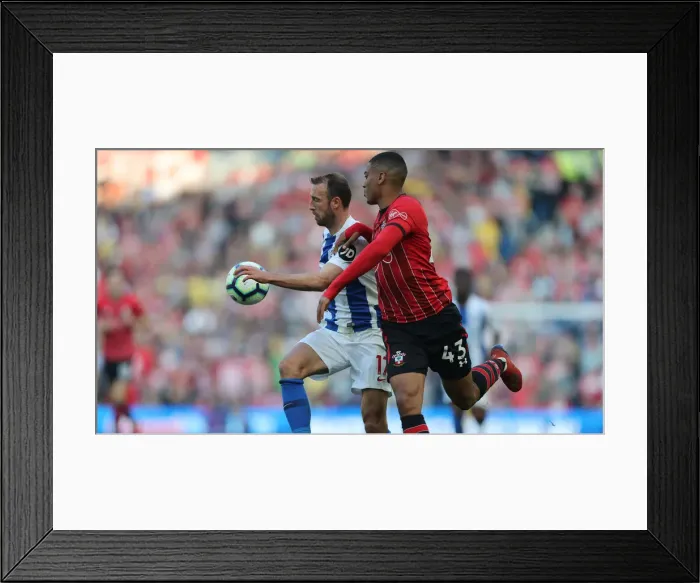 Framed Print : Brighton and Hove Albion vs. Southampton: Premier League Showdown at American Express Community Stadium (30MAR19)