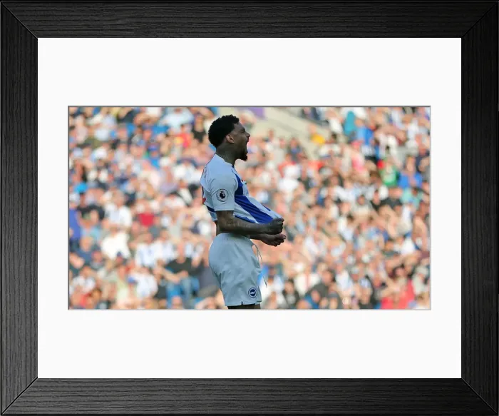 Framed Print : Brighton and Hove Albion vs. Southampton: Premier League Battle at American Express Community Stadium (30MAR19) Framed Print : Brighton and Hove Albion vs. Southampton: Premier League Battle at American Express Community Stadium (30MAR19)