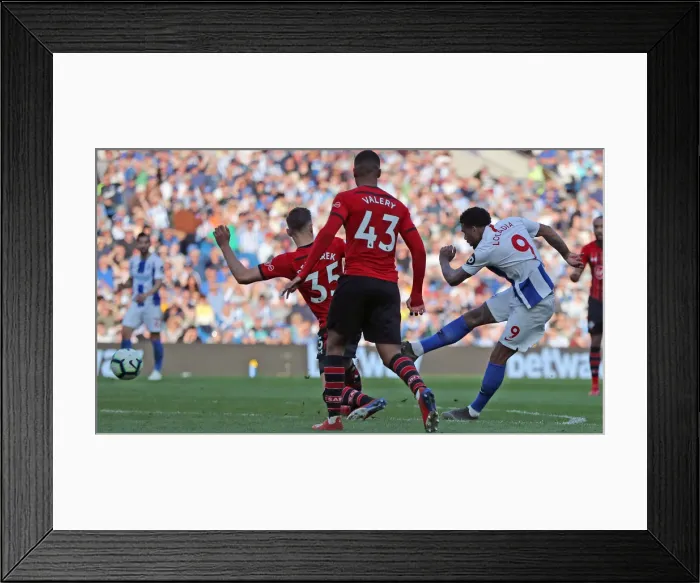 Framed Print : Brighton and Hove Albion vs. Southampton: Premier League Battle at American Express Community Stadium (30MAR19) Framed Print : Brighton and Hove Albion vs. Southampton: Premier League Battle at American Express Community Stadium (30MAR19)