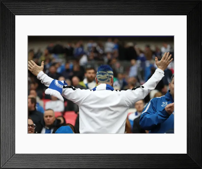 Framed Print : Manchester City vs. Brighton and Hove Albion: Emirates FA Cup Semi-Final Battle at Wembley Stadium (06APR19)