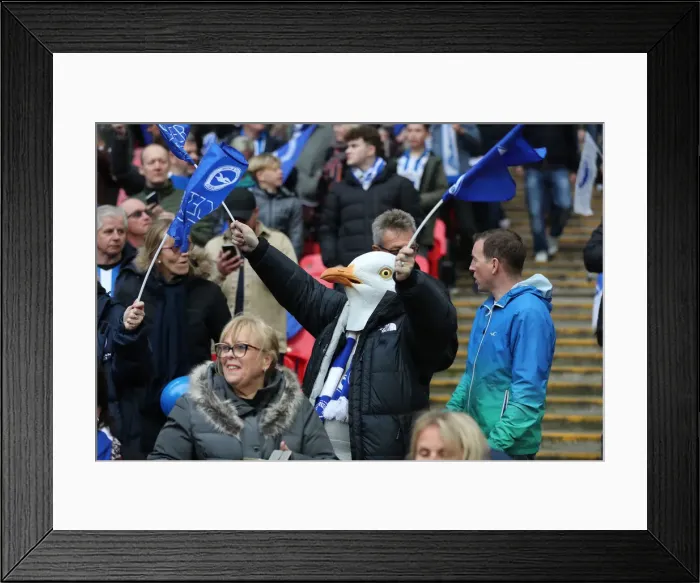 Framed Print : Manchester City vs. Brighton and Hove Albion: Emirates FA Cup Semi-Final Showdown at Wembley Stadium (06APR19) Framed Print : Manchester City vs. Brighton and Hove Albion: Emirates FA Cup Semi-Final Showdown at Wembley Stadium (06APR19)