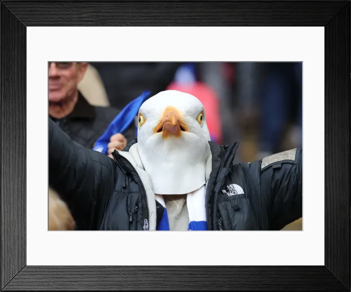 Framed Print : Manchester City vs. Brighton and Hove Albion: Emirates FA Cup Semi-Final Showdown at Wembley Stadium (06APR19) Framed Print : Manchester City vs. Brighton and Hove Albion: Emirates FA Cup Semi-Final Showdown at Wembley Stadium (06APR19)