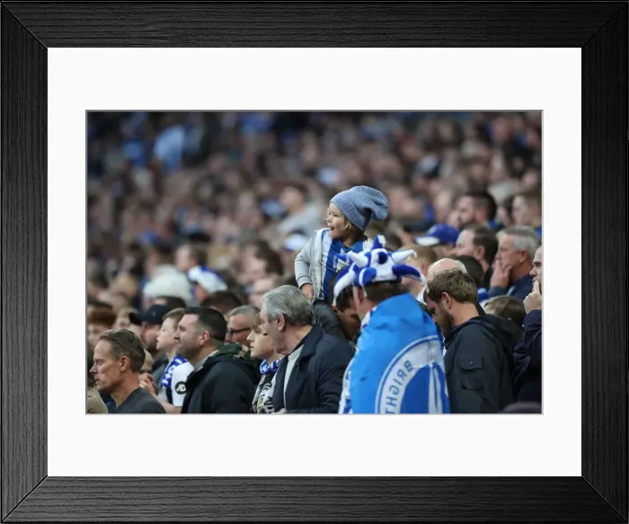 Framed Print : Manchester City vs. Brighton and Hove Albion: Emirates FA Cup Semi-Final Showdown at Wembley Stadium (06APR19) Framed Print : Manchester City vs. Brighton and Hove Albion: Emirates FA Cup Semi-Final Showdown at Wembley Stadium (06APR19)