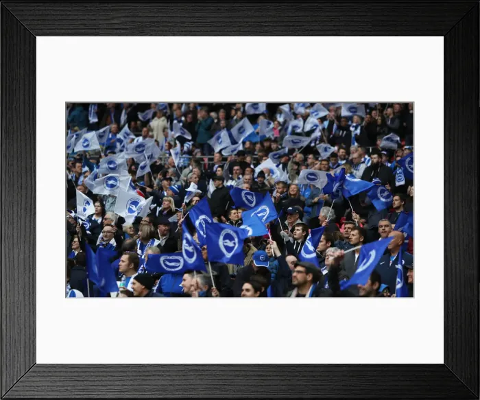 Framed Print : Brighton and Hove Albion Fans Euphoria at FA Cup Semi-Final vs Manchester City, Wembley Stadium (2019) Framed Print : Brighton and Hove Albion Fans Euphoria at FA Cup Semi-Final vs Manchester City, Wembley Stadium (2019)