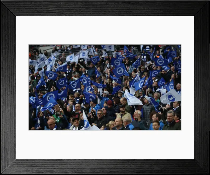 Framed Print : Brighton and Hove Albion Fans at the Emirates FA Cup Semi-Final vs Manchester City, Wembley Stadium (06.04.19) Framed Print : Brighton and Hove Albion Fans at the Emirates FA Cup Semi-Final vs Manchester City, Wembley Stadium (06.04.19)