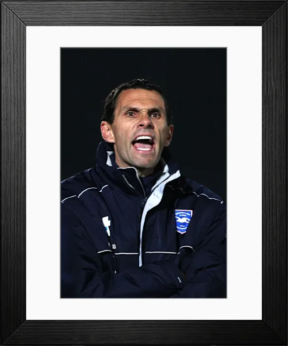 Framed Print : Brighton & Hove Albion: 2009-10 Home Matches - Colchester United Framed Print : Brighton & Hove Albion: 2009-10 Home Matches - Colchester United