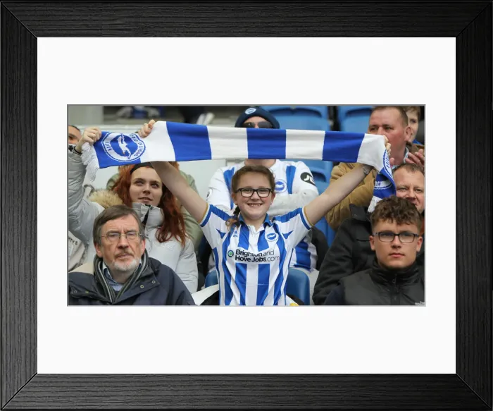 Framed Print : Brighton and Hove Albion vs. Bournemouth: Premier League Battle at American Express Community Stadium (13APR19) Framed Print : Brighton and Hove Albion vs. Bournemouth: Premier League Battle at American Express Community Stadium (13APR19)