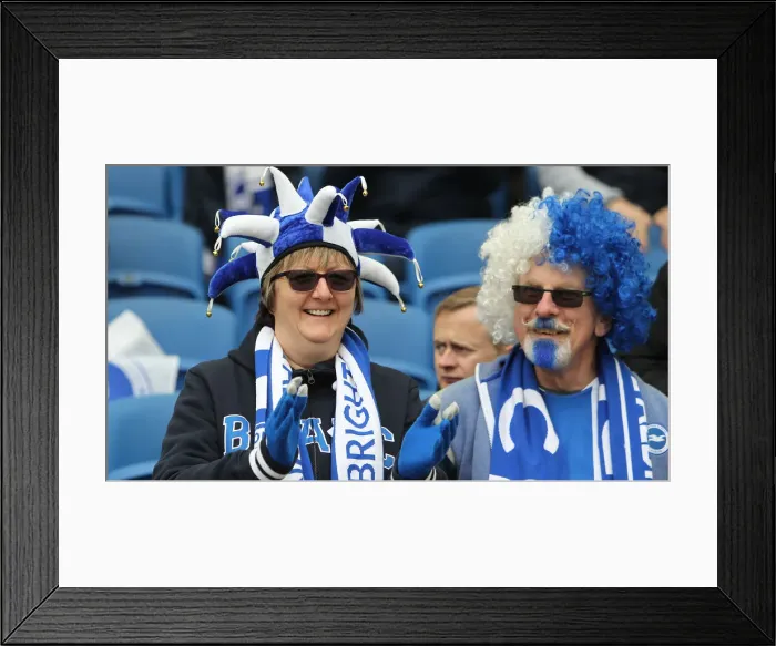 Framed Print : Brighton and Hove Albion vs Bournemouth: Premier League Battle at American Express Community Stadium (13APR19) Framed Print : Brighton and Hove Albion vs Bournemouth: Premier League Battle at American Express Community Stadium (13APR19)