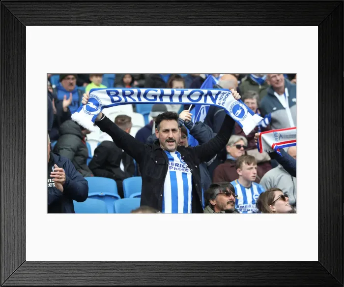 Framed Print : Brighton and Hove Albion vs Bournemouth: Premier League Battle at American Express Community Stadium (13APR19) Framed Print : Brighton and Hove Albion vs Bournemouth: Premier League Battle at American Express Community Stadium (13APR19)