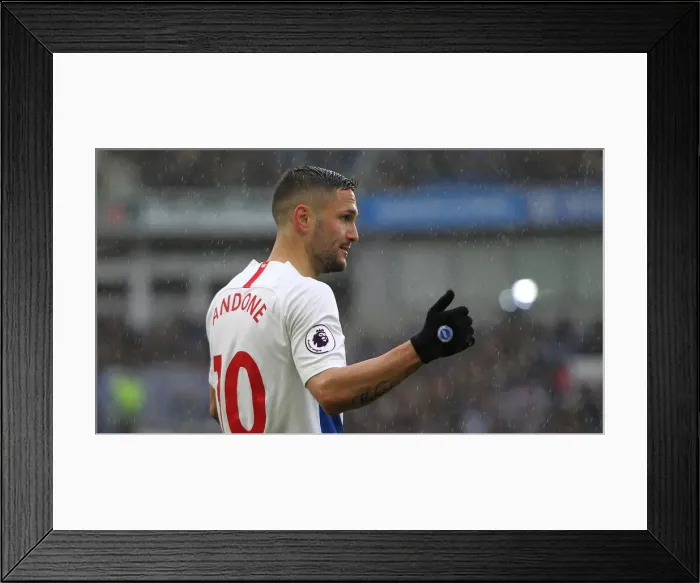 Framed Print : Brighton and Hove Albion's Florin Andone Scores Against Bournemouth in Premier League (13APR19) Framed Print : Brighton and Hove Albion's Florin Andone Scores Against Bournemouth in Premier League (13APR19)