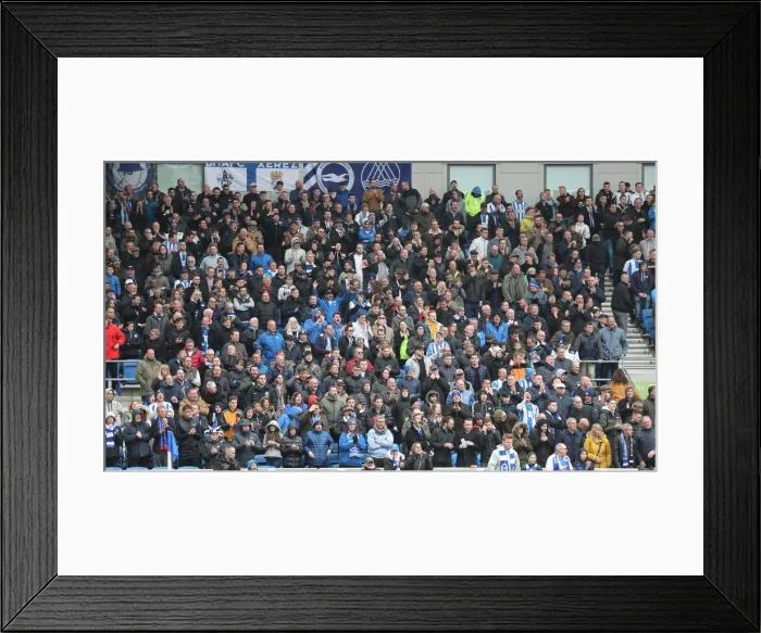 Framed Print : Brighton and Hove Albion vs Bournemouth: Premier League Battle at American Express Community Stadium (13APR19)