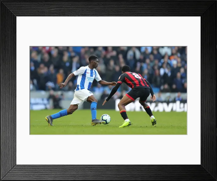 Framed Print : Brighton and Hove Albion vs Bournemouth: Premier League Battle at American Express Community Stadium (13APR19) Framed Print : Brighton and Hove Albion vs Bournemouth: Premier League Battle at American Express Community Stadium (13APR19)