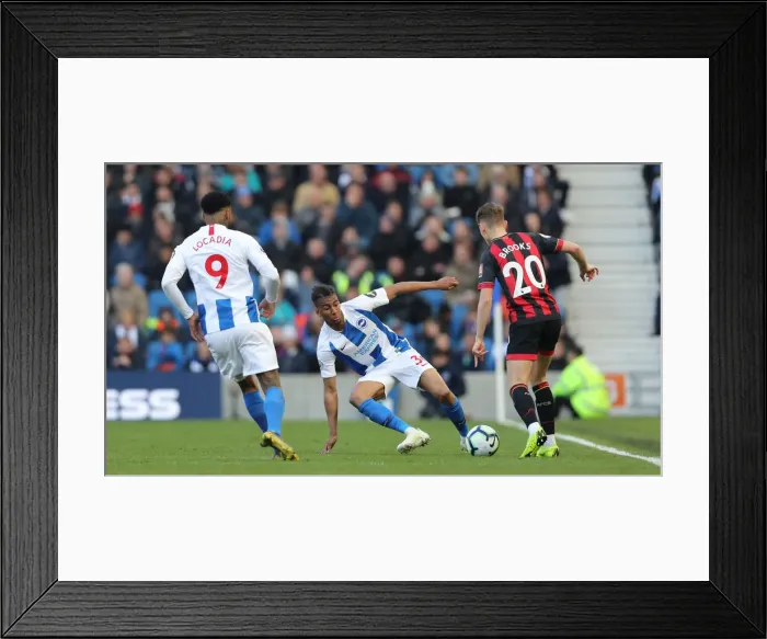 Framed Print : Brighton and Hove Albion vs Bournemouth: Premier League Battle at American Express Community Stadium (13APR19) Framed Print : Brighton and Hove Albion vs Bournemouth: Premier League Battle at American Express Community Stadium (13APR19)