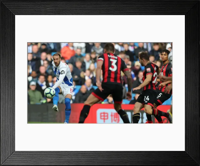 Framed Print : Brighton and Hove Albion vs Bournemouth: Premier League Battle at American Express Community Stadium (13APR19) Framed Print : Brighton and Hove Albion vs Bournemouth: Premier League Battle at American Express Community Stadium (13APR19)