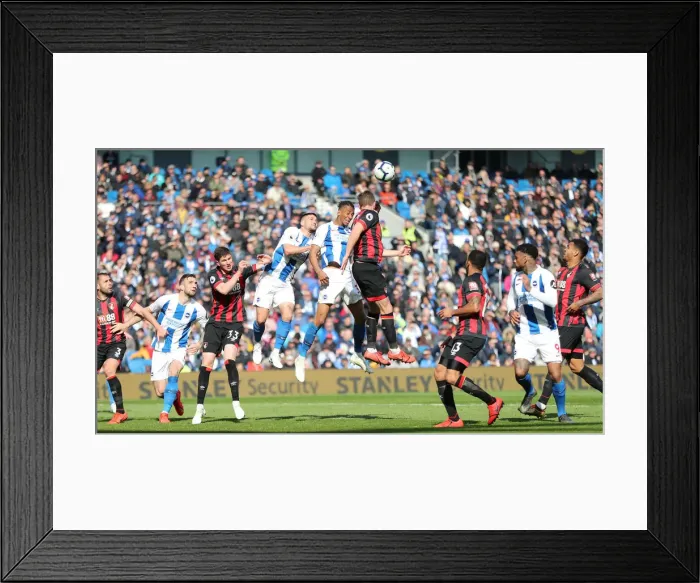 Framed Print : Brighton and Hove Albion vs Bournemouth: Premier League Battle at American Express Community Stadium (13APR19) Framed Print : Brighton and Hove Albion vs Bournemouth: Premier League Battle at American Express Community Stadium (13APR19)