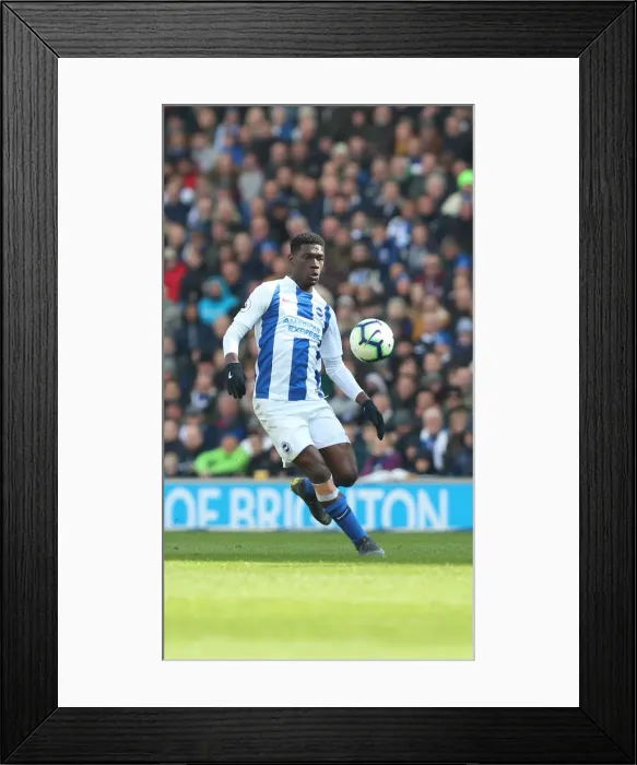 Framed Print : Brighton and Hove Albion vs. Bournemouth: Premier League Showdown at American Express Community Stadium (13APR19) Framed Print : Brighton and Hove Albion vs. Bournemouth: Premier League Showdown at American Express Community Stadium (13APR19)