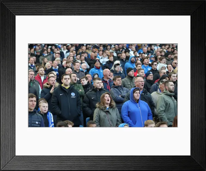 Framed Print : Brighton and Hove Albion vs. Bournemouth: Premier League Battle at American Express Community Stadium (13APR19) Framed Print : Brighton and Hove Albion vs. Bournemouth: Premier League Battle at American Express Community Stadium (13APR19)