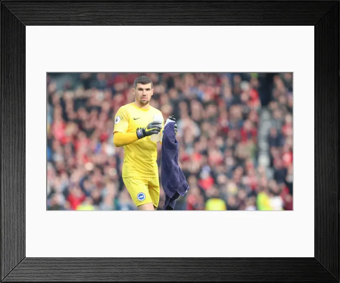 Framed Print : Brighton and Hove Albion vs Bournemouth: Premier League Battle at American Express Community Stadium (13APR19) Framed Print : Brighton and Hove Albion vs Bournemouth: Premier League Battle at American Express Community Stadium (13APR19)