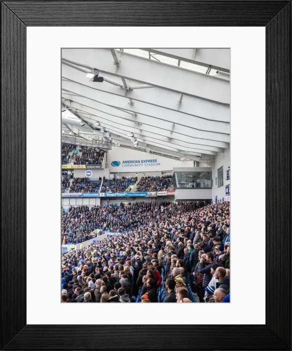 Framed Print : Brighton and Hove Albion vs. Bournemouth: Premier League Battle at American Express Community Stadium (13APR19) Framed Print : Brighton and Hove Albion vs. Bournemouth: Premier League Battle at American Express Community Stadium (13APR19)