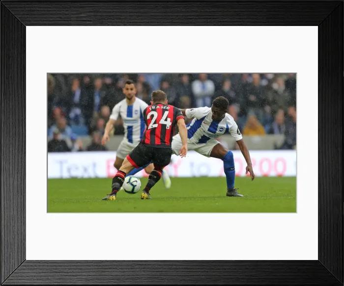 Framed Print : Brighton and Hove Albion vs Bournemouth: Premier League Battle at American Express Community Stadium (13APR19) Framed Print : Brighton and Hove Albion vs Bournemouth: Premier League Battle at American Express Community Stadium (13APR19)