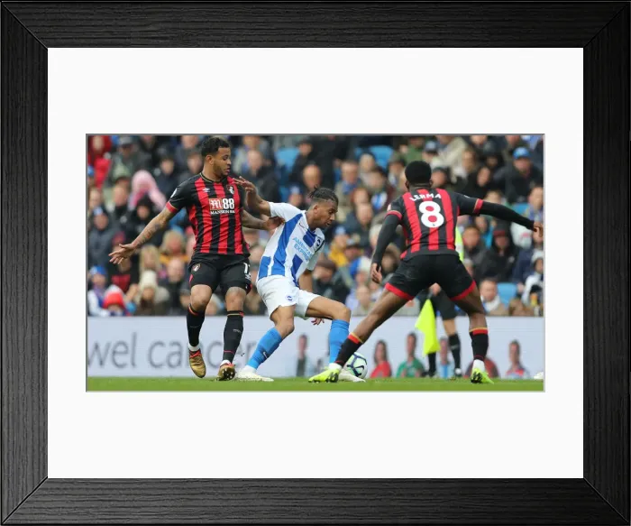 Framed Print : Brighton and Hove Albion vs Bournemouth: Premier League Showdown at American Express Community Stadium (13APR19) Framed Print : Brighton and Hove Albion vs Bournemouth: Premier League Showdown at American Express Community Stadium (13APR19)