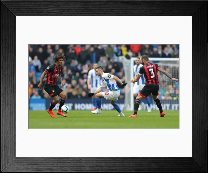 Framed Print : Brighton and Hove Albion vs Bournemouth: Premier League Showdown at American Express Community Stadium (13APR19)