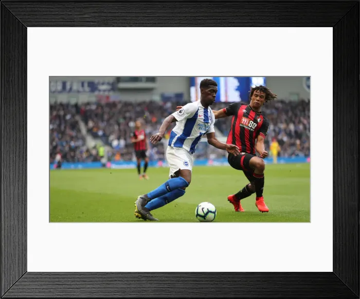 Framed Print : Brighton and Hove Albion vs. Bournemouth: Premier League Battle at American Express Community Stadium (13APR19) Framed Print : Brighton and Hove Albion vs. Bournemouth: Premier League Battle at American Express Community Stadium (13APR19)