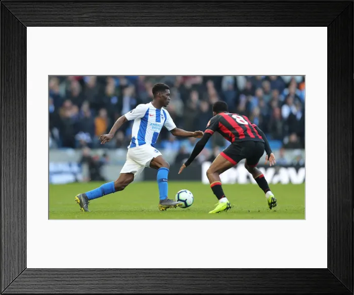 Framed Print : Brighton and Hove Albion vs Bournemouth: Premier League Showdown at American Express Community Stadium (13APR19) Framed Print : Brighton and Hove Albion vs Bournemouth: Premier League Showdown at American Express Community Stadium (13APR19)