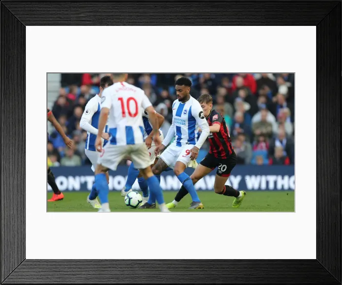 Framed Print : Brighton and Hove Albion vs. Bournemouth: Premier League Battle at American Express Community Stadium (13APR19) Framed Print : Brighton and Hove Albion vs. Bournemouth: Premier League Battle at American Express Community Stadium (13APR19)