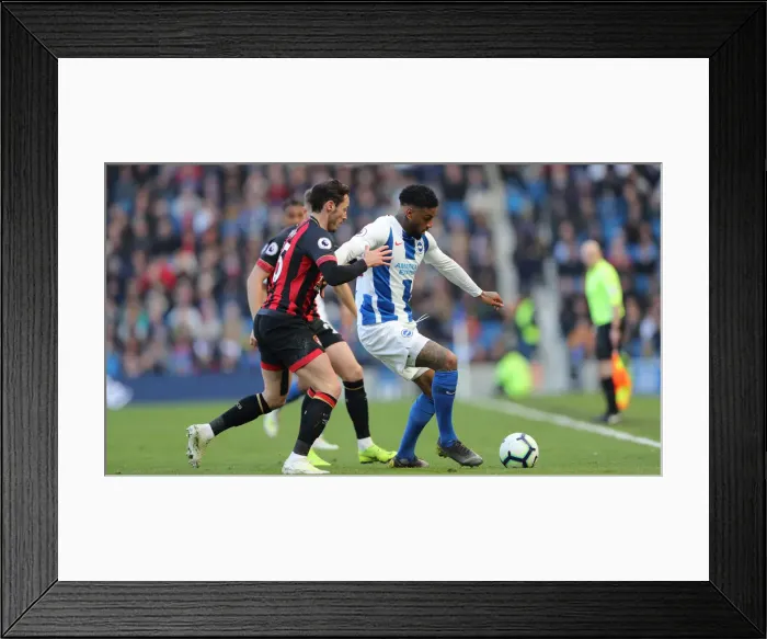 Framed Print : Brighton and Hove Albion vs. Bournemouth: Premier League Battle at American Express Community Stadium (13APR19) Framed Print : Brighton and Hove Albion vs. Bournemouth: Premier League Battle at American Express Community Stadium (13APR19)
