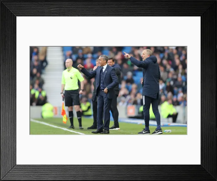 Framed Print : Brighton and Hove Albion vs Bournemouth: Premier League Battle at American Express Community Stadium (13APR19) Framed Print : Brighton and Hove Albion vs Bournemouth: Premier League Battle at American Express Community Stadium (13APR19)