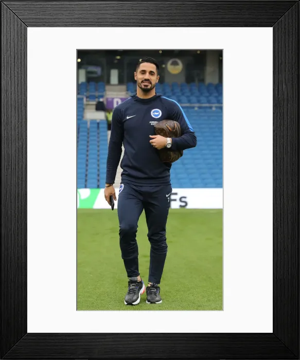 Framed Print : Brighton and Hove Albion vs. Cardiff City: Premier League Showdown at American Express Community Stadium (16th April 2019)