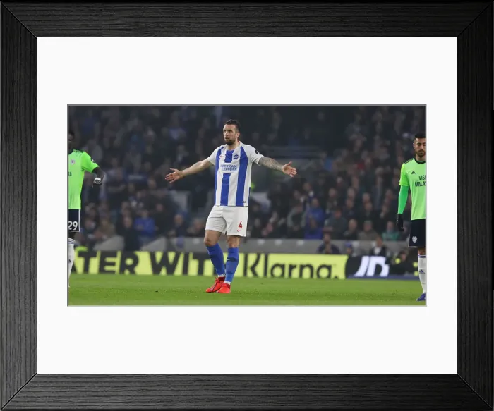 Framed Print : Brighton and Hove Albion vs. Cardiff City: Premier League Battle at American Express Community Stadium (16th April 2019) Framed Print : Brighton and Hove Albion vs. Cardiff City: Premier League Battle at American Express Community Stadium (16th April 2019)