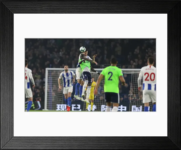 Framed Print : Brighton and Hove Albion vs. Cardiff City: Premier League Battle at American Express Community Stadium (16th April 2019) Framed Print : Brighton and Hove Albion vs. Cardiff City: Premier League Battle at American Express Community Stadium (16th April 2019)