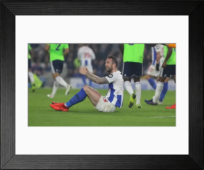 Framed Print : Brighton and Hove Albion vs. Cardiff City: Premier League Battle at American Express Community Stadium (16th April 2019) Framed Print : Brighton and Hove Albion vs. Cardiff City: Premier League Battle at American Express Community Stadium (16th April 2019)