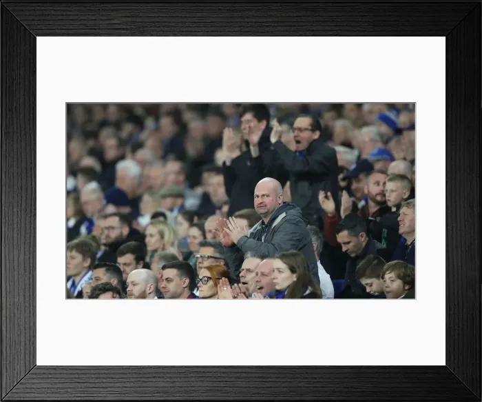 Framed Print : Brighton and Hove Albion vs. Cardiff City: Premier League Battle at American Express Community Stadium (16th April 2019)