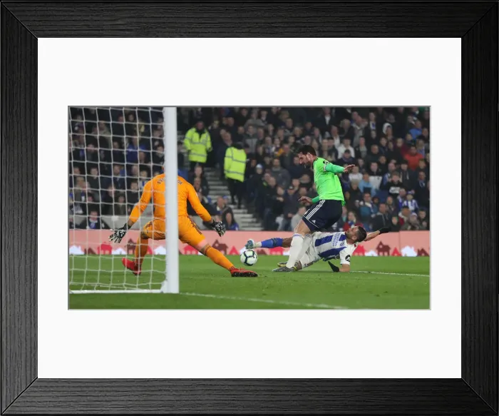Framed Print : Brighton and Hove Albion vs. Cardiff City: Premier League Showdown at American Express Community Stadium (16th April 2019) Framed Print : Brighton and Hove Albion vs. Cardiff City: Premier League Showdown at American Express Community Stadium (16th April 2019)