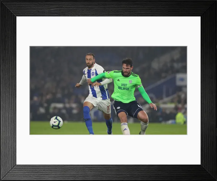 Framed Print : Brighton and Hove Albion vs. Cardiff City: Premier League Battle at American Express Community Stadium (16th April 2019) Framed Print : Brighton and Hove Albion vs. Cardiff City: Premier League Battle at American Express Community Stadium (16th April 2019)